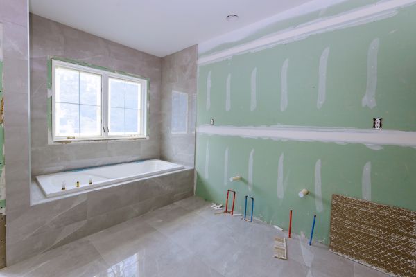 Bathroom Gutting in Palatine